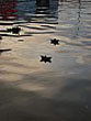 theharbour